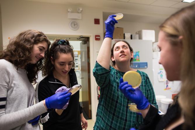 Loyola professor observing petri dish with three STEM students